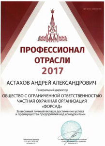 Профессионал отрасли 2017