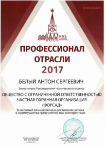 Профессионал отрасли 2017